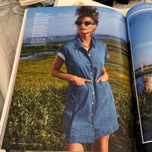 Cabi Piece of Cake Dress